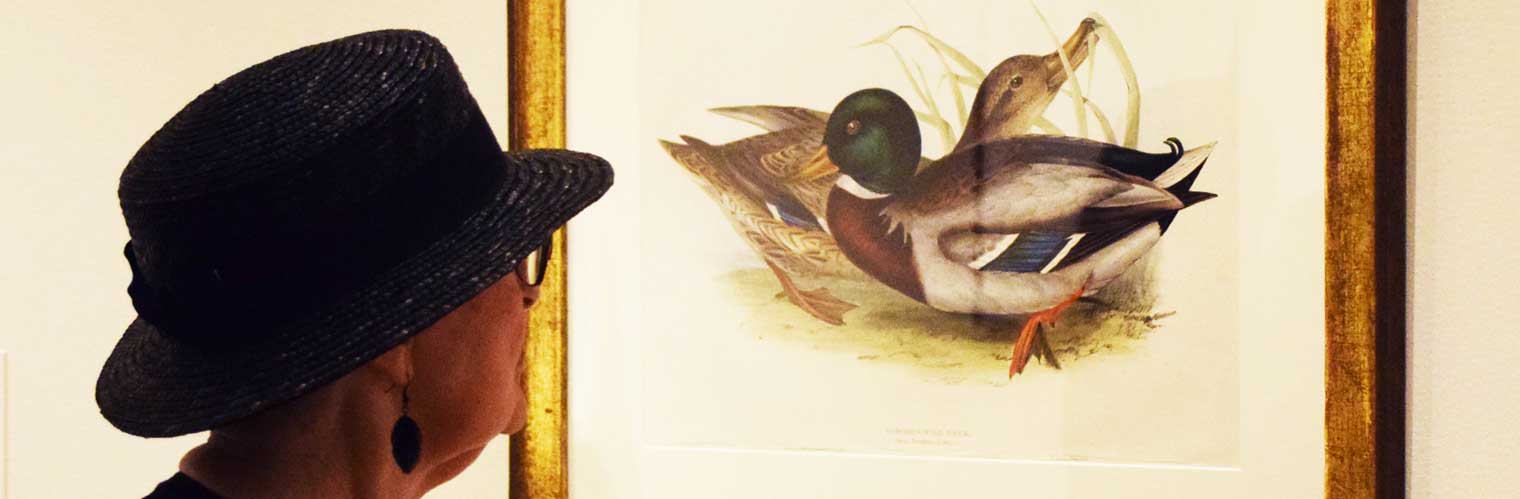 profile of a woman in a black hat looking at a duck painting